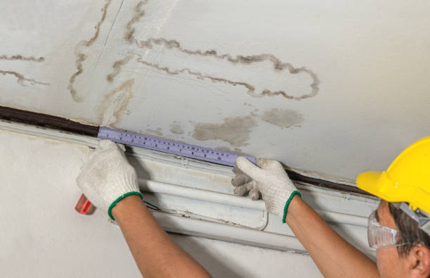 Reliable Mold Remediation contractor in South Lake Tahoe, CA by Water Damage Irwin